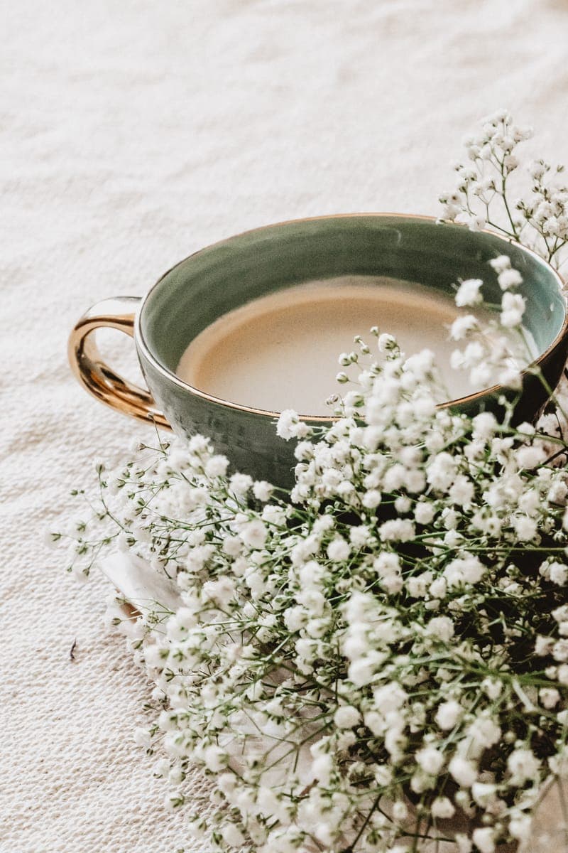 Baby's Breath — foto 4