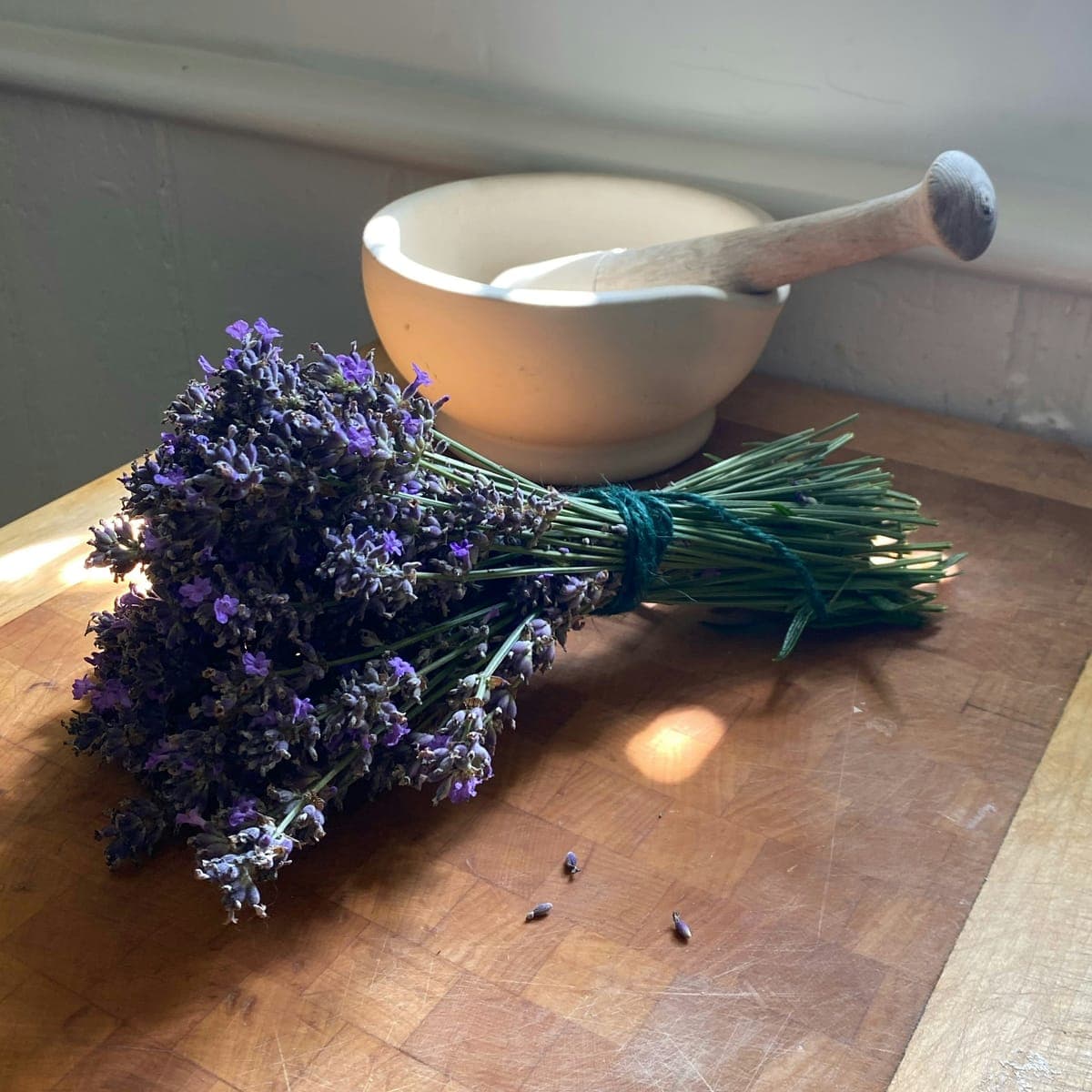 Lavender