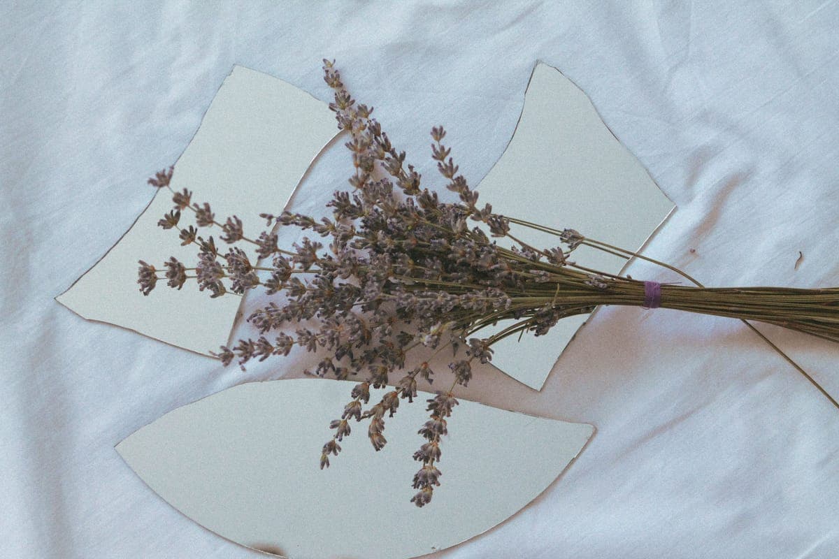 Lavender — foto 4