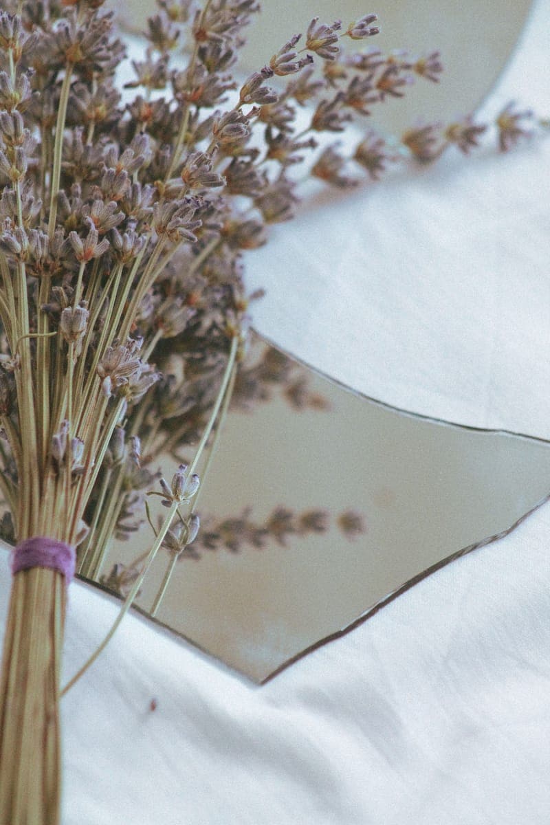 Lavender — foto 5
