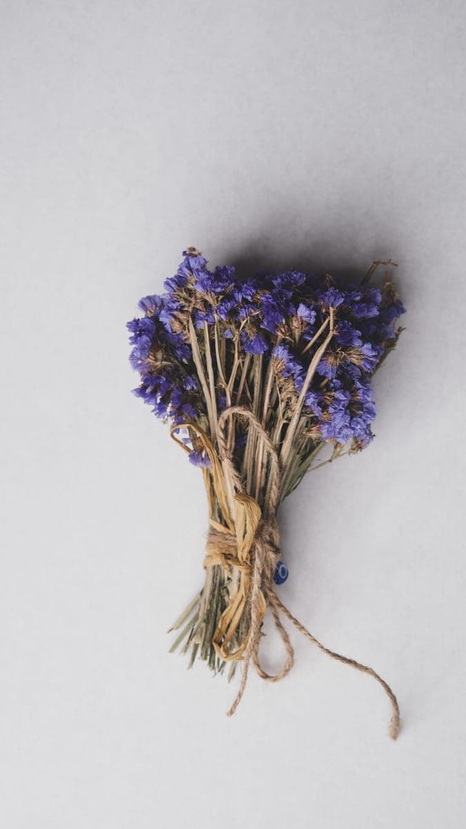 Lavender — foto 7