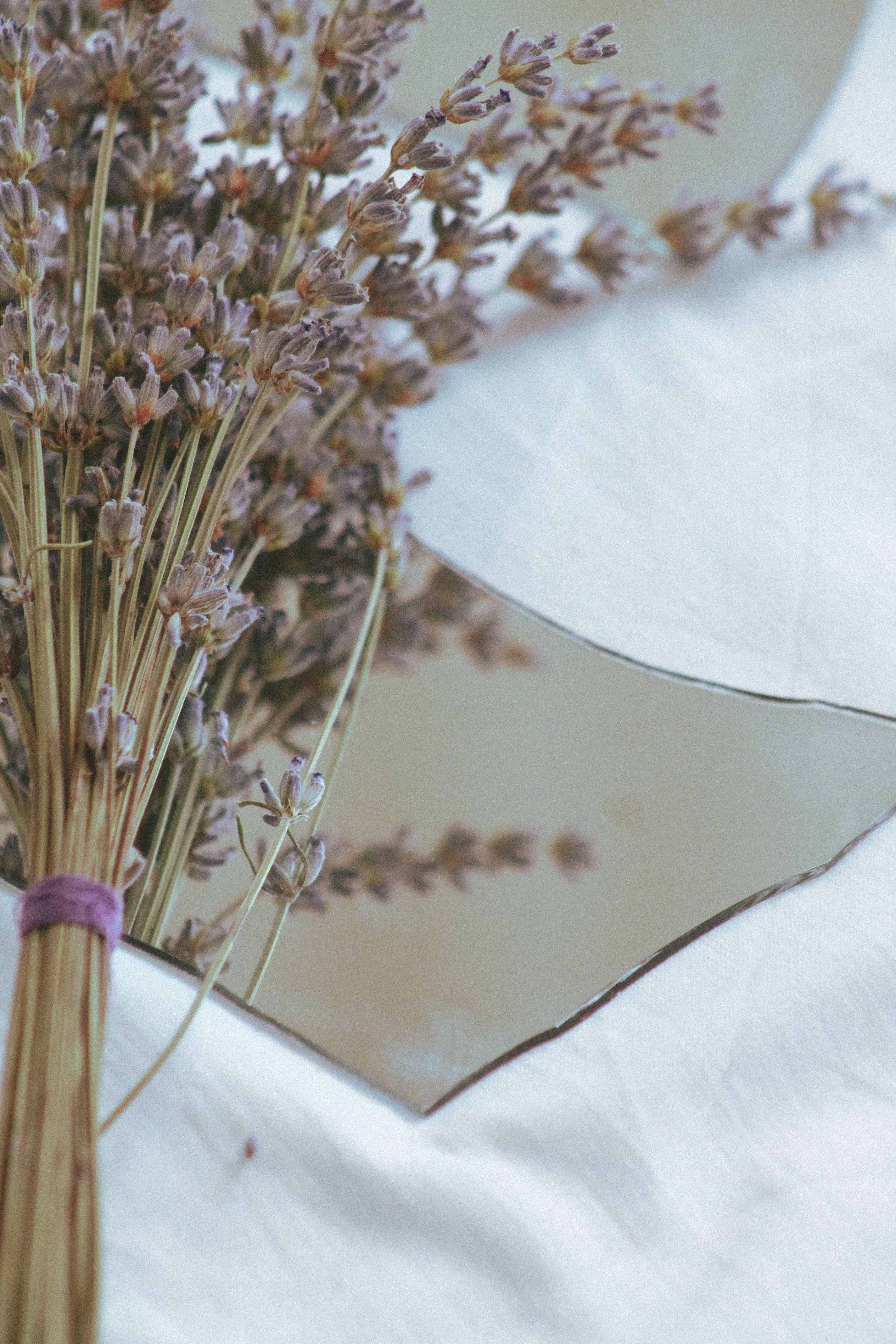 Lavender — foto 5